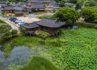 연꽃으로 뒤덮인 서출지와 이요당, 경주 남산동 한옥마을 항공 전경