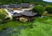 경주 서출지 연꽃과 배롱나무, 이요당 품은 동남산 무료 여름 산책지 경주 서출지 연못과 이요당, 동남산 마을 전경