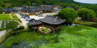 경주 서출지 연꽃과 배롱나무, 이요당 품은 동남산 무료 여름 산책지 경주 서출지 연못과 이요당, 동남산 마을 전경