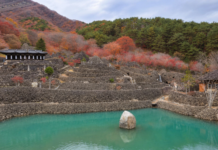 하동 삼성궁 1500개 돌탑, 해발 850m 지리산 숲에 숨은 이색 성전 하동 삼성궁 돌성벽과 연못, 가을 지리산 풍경