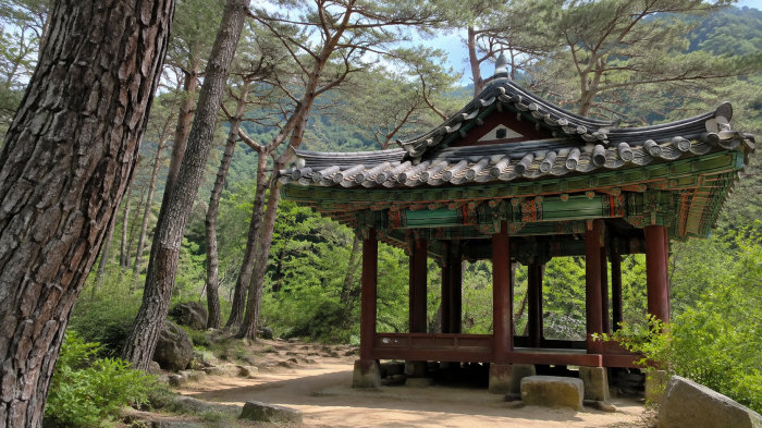 하동 세이암계곡 인근 소나무 숲과 전통 정자