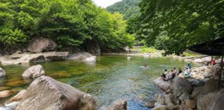하동 세이암계곡, 화개장터 지나 지리산 깊숙이 만나는 맑은 물놀이 계곡 하동 세이암계곡 숲과 바위 사이 맑은 물놀이 구간