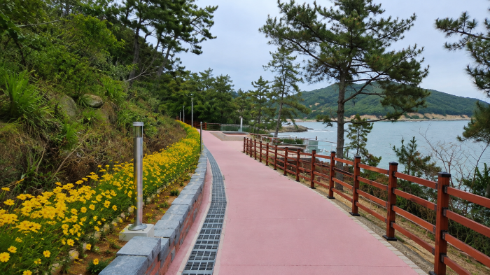 노란 꽃과 바다가 어우러진 해남 땅끝 꿈길랜드 산책로