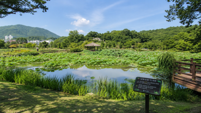 hamyang-sangrim-lotus-pond-summer 함양 상림공원 연꽃단지와 정자 여름 풍경
