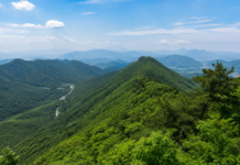 화순 만연산, 치유의 숲 오감연결길 1시간…해발 668m 정상까지 이어지는 여름 숲 산행 화순 만연산에서 바라본 여름 산 능선과 무등산 일대 풍경