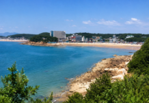 을왕리해수욕장, 700m 백사장이 붉게 물든다…영종도 서해 낙조 명소 인천 영종도 을왕리해수욕장 700m 백사장과 푸른 바다 전경