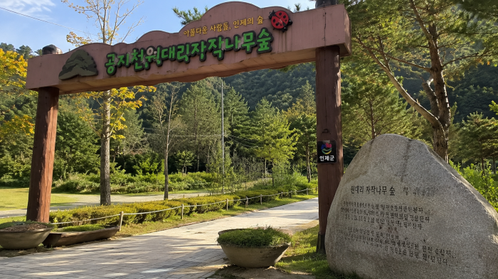 인제 원대리 자작나무숲 입구 안내시설