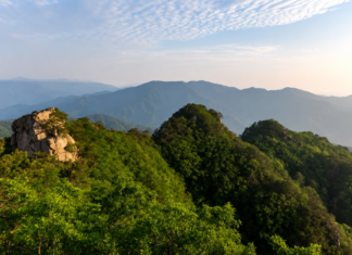 제천 감악산 등산코스, 해발 945m 기암괴석과 백련사 최단 산행 제천 감악산 정상부의 바위 봉우리와 녹음 짙은 능선