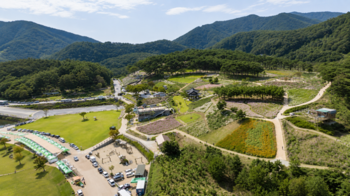jeongeup-gujeolcho-garden-aerial 정읍 구절초 지방정원 꽃밭과 솔숲 산책로 전경