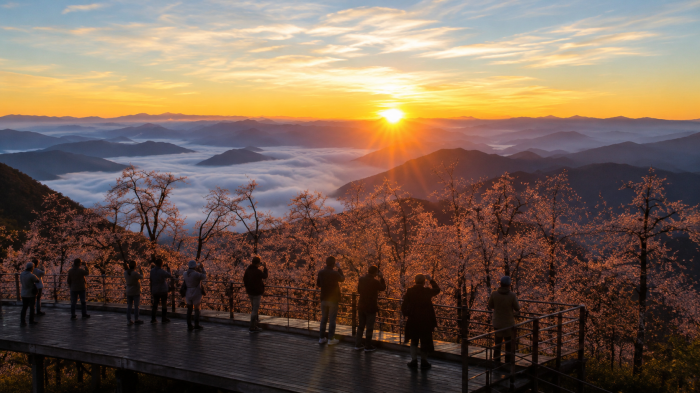 정선 산줄기와 운해를 바라보는 가리왕산 정상 전망 데크