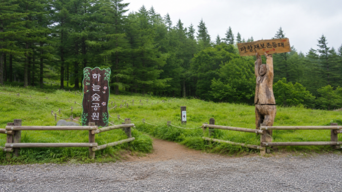 정선 만항재 해발 1330m 하늘숲공원 숲과 쉼터