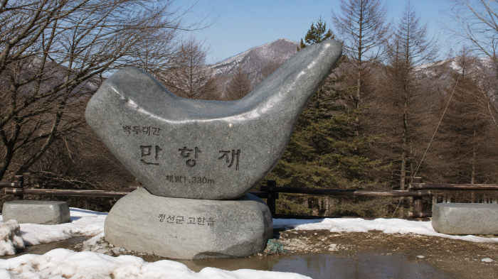 정선 만항재 야생화와 숲길