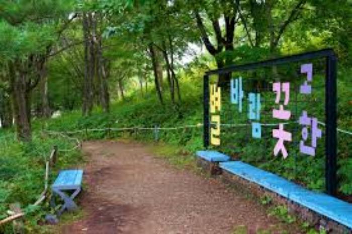 겨울 눈이 남은 정선 만항재 해발 1330m 표지석