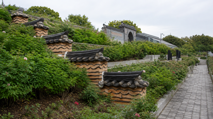 전주수목원 전통 기와 담장과 장미 산책로
