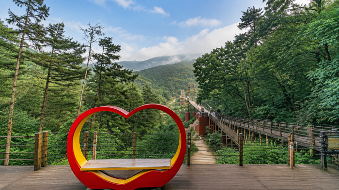 증평 좌구산 자연휴양림 숲속 숙박시설과 산책로