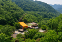 증평 좌구산 명상구름다리, 230m 숲 위를 걷는다…중간부터 발걸음이 달라진다 증평 좌구산 숲속을 가로지르는 명상구름다리