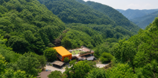 증평 좌구산 숲속을 가로지르는 명상구름다리