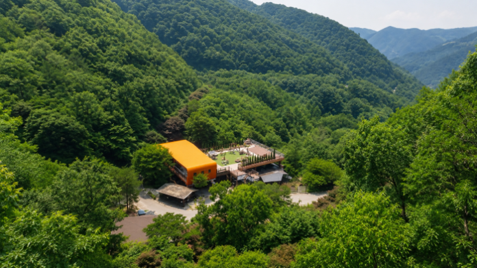 증평 좌구산 숲속을 가로지르는 명상구름다리