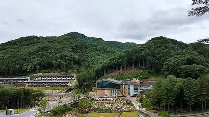 산림과 계곡을 배경으로 자리한 국립진안고원산림치유원 본관