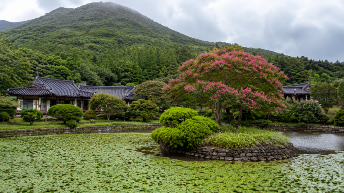 첨찰산 아래 진도 운림산방 전통정원 전경