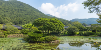 진도 운림산방 연못과 한옥 첨찰산 여름 풍경