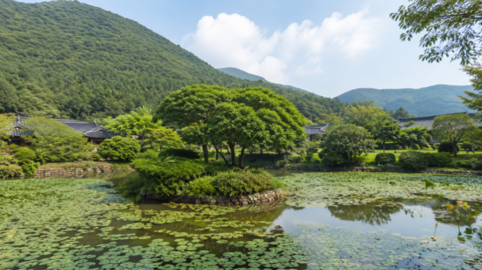 jindo-ullimsanbang-pond-hanok-summer 진도 운림산방 연못과 한옥 첨찰산 여름 풍경