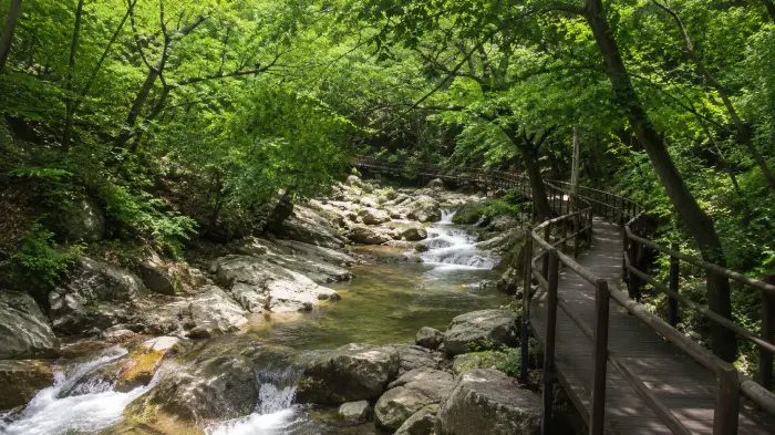 서울 진관사계곡 계곡 옆 목재 데크길