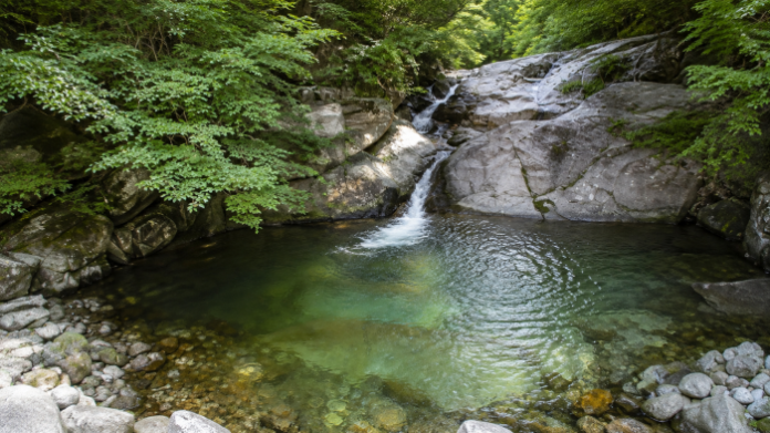jirisan-baemsagol-valley-pool-01 지리산 뱀사골계곡 숲속 소와 작은 폭포