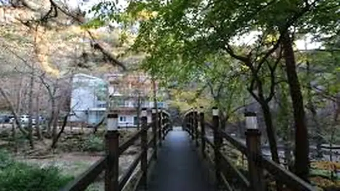 숲과 숙박시설 사이로 이어지는 조령산자연휴양림 목재 데크길