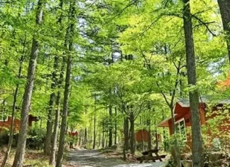 괴산 조령산자연휴양림, 새재 옛길과 숲속 숙소를 함께 누리는 백두대간 휴양지 울창한 숲 사이 숙박동과 산책길이 이어지는 괴산 조령산자연휴양림