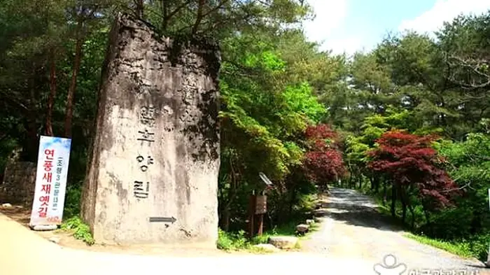나무와 숙박동 사이에 세워진 조령산자연휴양림 입구 표지석