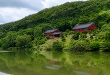 무주 적상산 사고지, 조선왕조실록을 왜 산꼭대기에 숨겼을까…300년 지킨 기록의 요새 적상호 건너 바라본 무주 적상산 사고 건물
