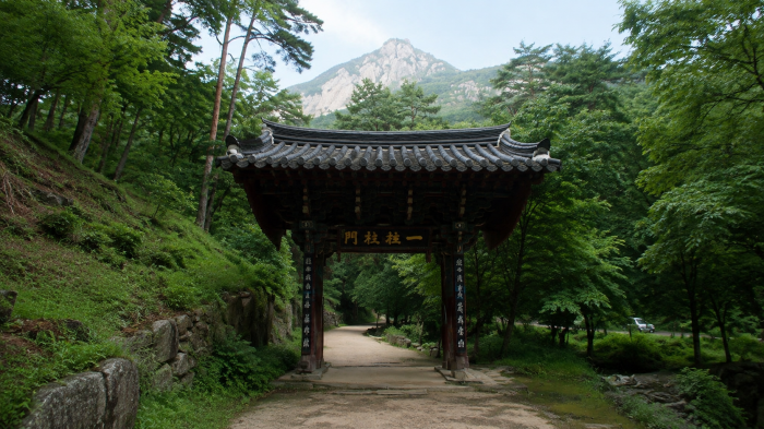 희양산 숲속 봉암사 산문