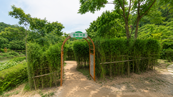 문경생태미로공원 생태미로 입구