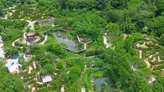 mungyeong-eco-maze-park-aerial 문경생태미로공원 미로와 연못이 펼쳐진 여름 전경