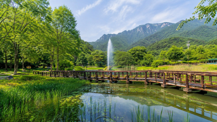 문경생태미로공원 연못과 목재 산책로