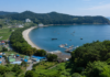 남해 물건리 방조어부림, 파도 막으려고 심은 숲이 물고기까지 불렀다…300년 이어진 해안숲 남해 물건리 방조어부림과 물건항 해안 전경