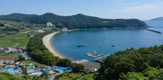 남해 물건리 방조어부림과 물건항 해안 전경