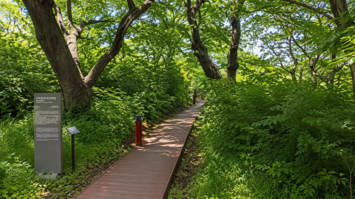 남해 물건리 언덕에서 바라본 물건항과 해안