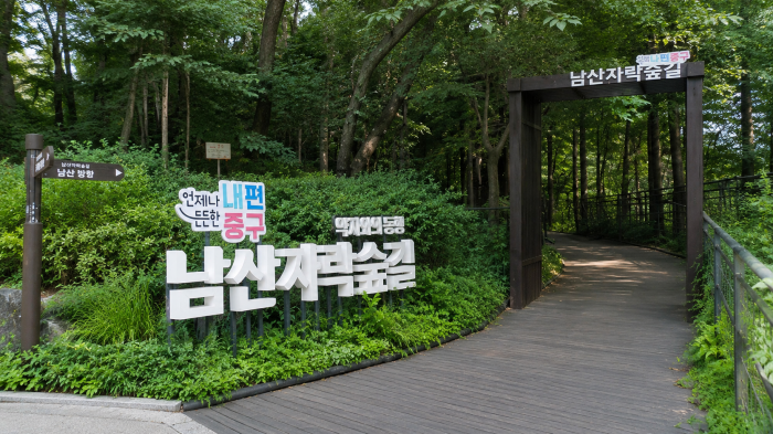 울창한 숲 사이 붉은 산책로가 이어지는 남산자락숲길