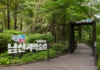 서울 남산자락숲길 5.14km, 대부분 무장애로 이어진다…2025년 71만 명 찾은 도심 숲길 서울 남산자락숲길 입구와 숲속 무장애 데크길