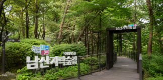 서울 남산자락숲길 입구와 숲속 무장애 데크길