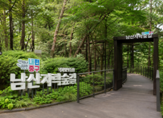 서울 남산자락숲길 입구와 숲속 무장애 데크길