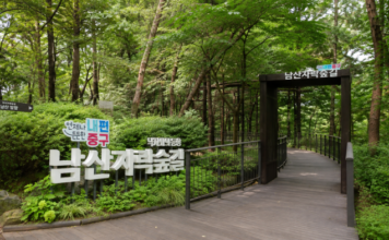 서울 남산자락숲길 입구와 숲속 무장애 데크길