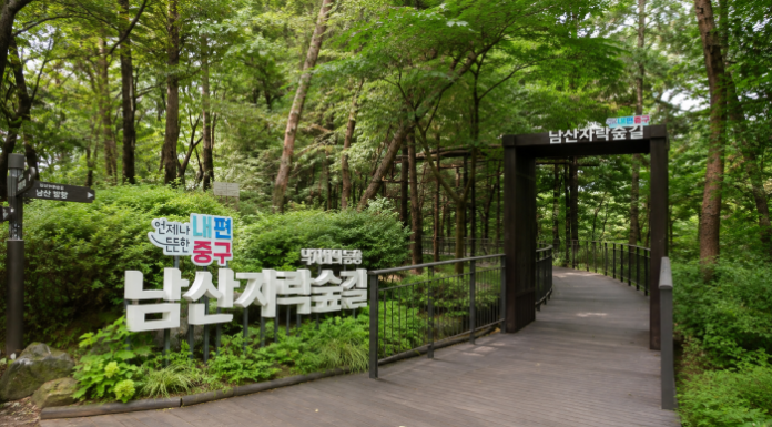 서울 남산자락숲길 입구와 숲속 무장애 데크길