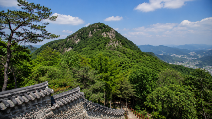 남양주 천마산 숲과 암봉 여름 풍경