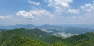 남양주 천마산 정상에서 바라본 여름 산 능선과 도심 전경
