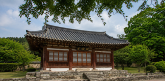 논산 노성향교 명륜당과 여름 숲