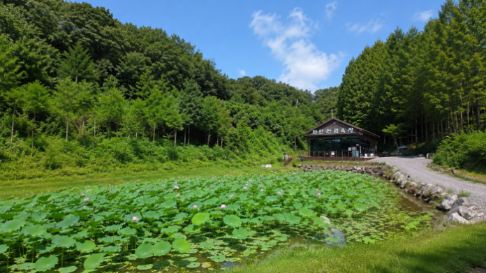 okcheon-hwain-lotus-pond-forest-bathing-area 옥천 화인산림욕장 연꽃 연못과 본관 전경