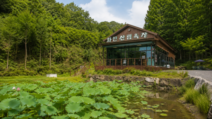 화인산림욕장 본관과 연꽃 연못